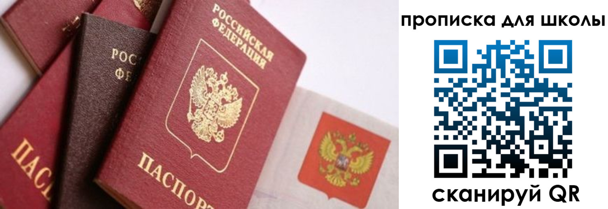 прописка поиск в Охе